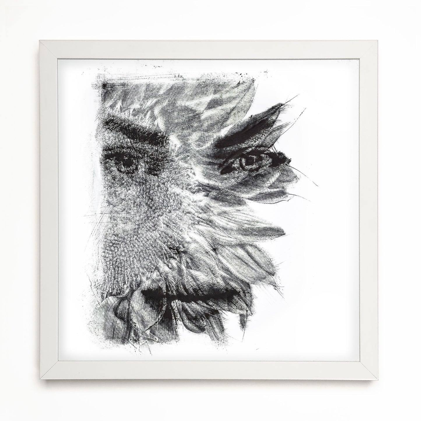 Fine Art - Blooming Contradictions - Limited Edition