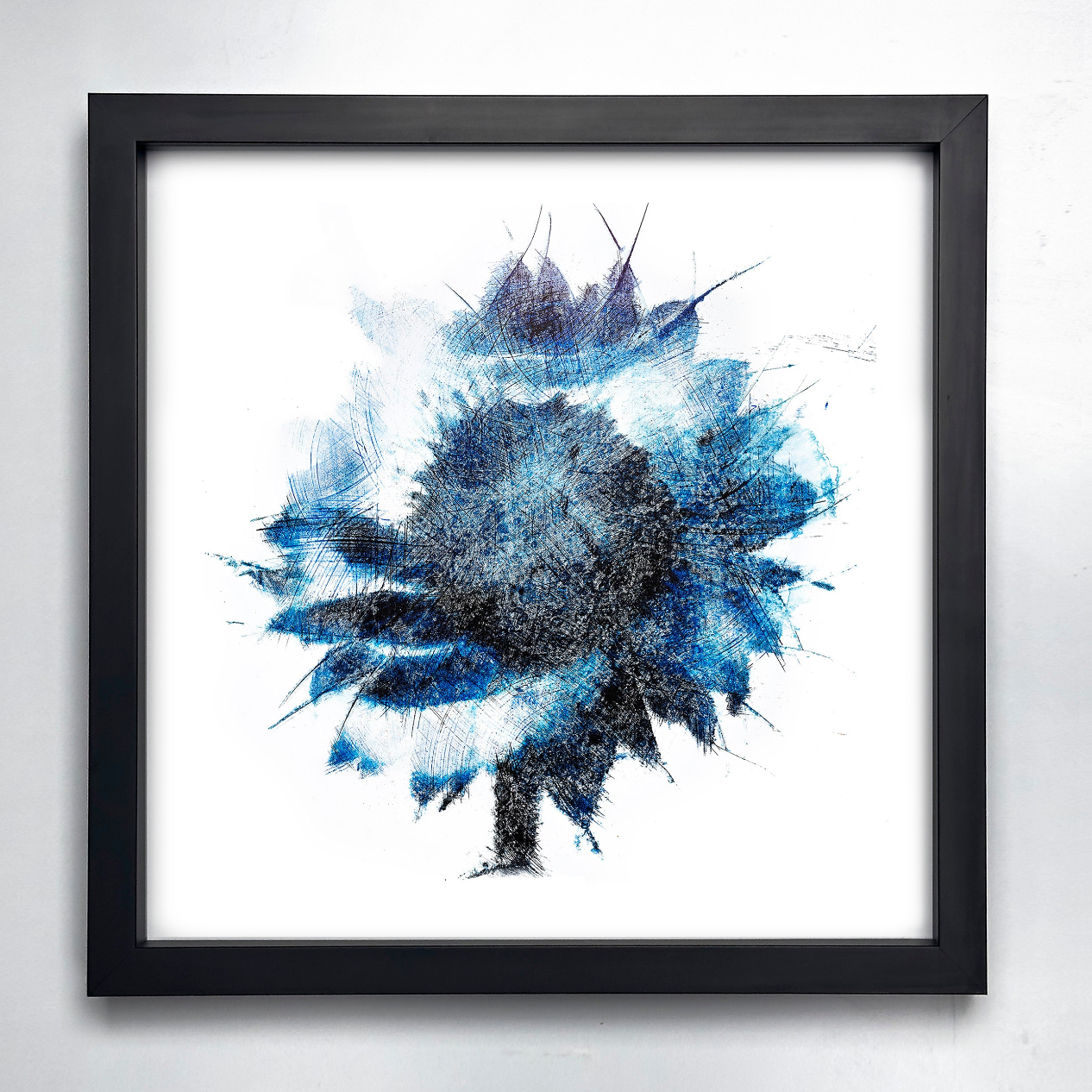 Fine Art - Vivid Shadows - Limited Edition