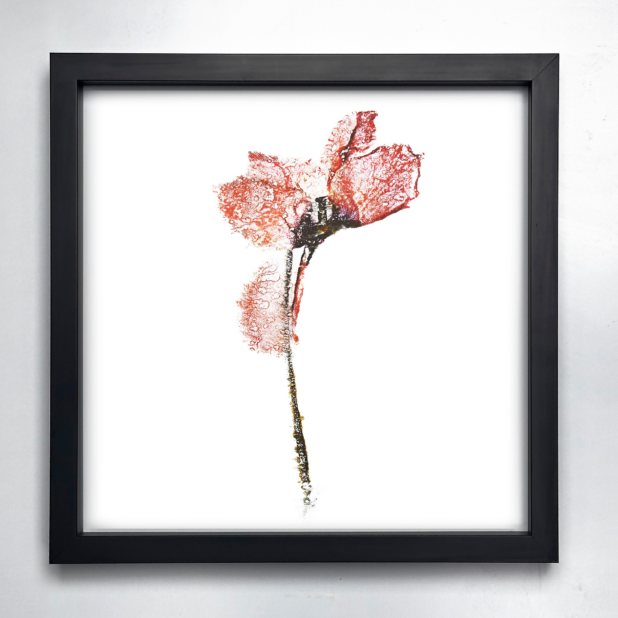 Fine Art - Enigmatic Petal Imagery - Limited Edition