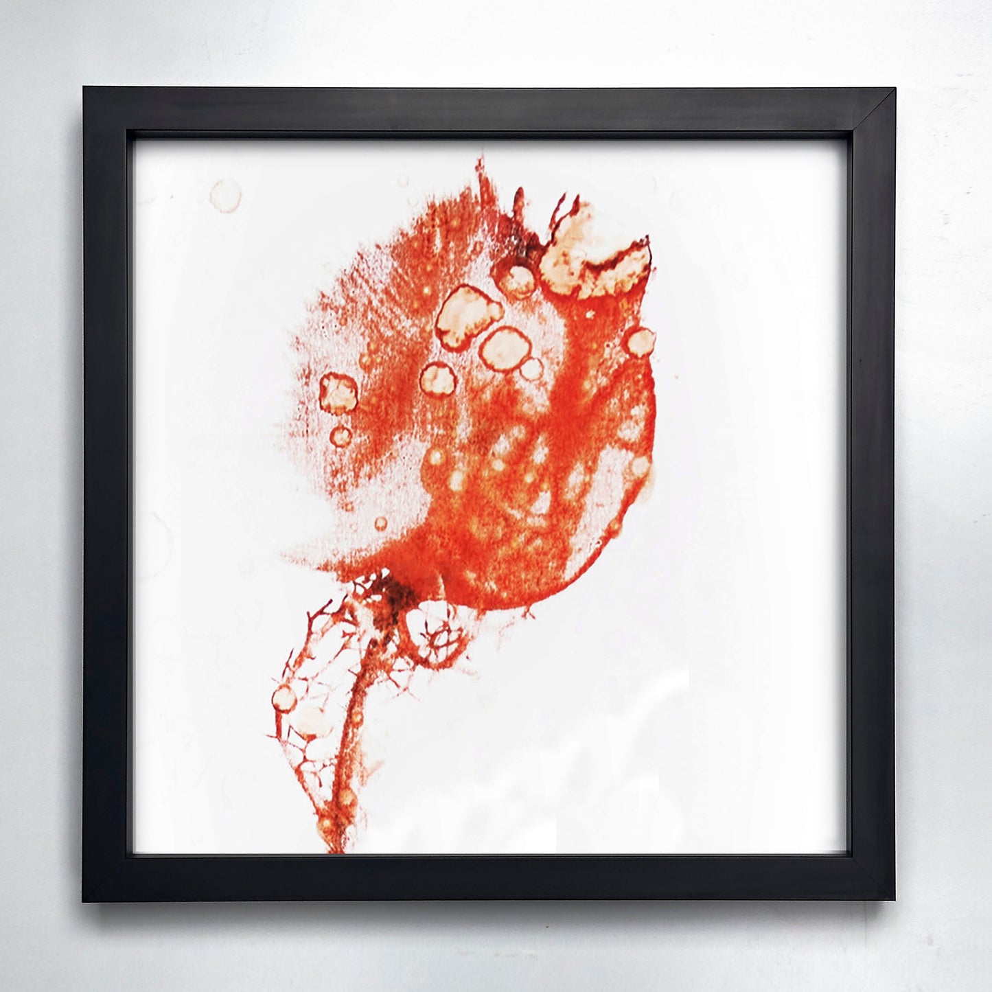 Fine Art - Luminous Shadow - Limited Edition