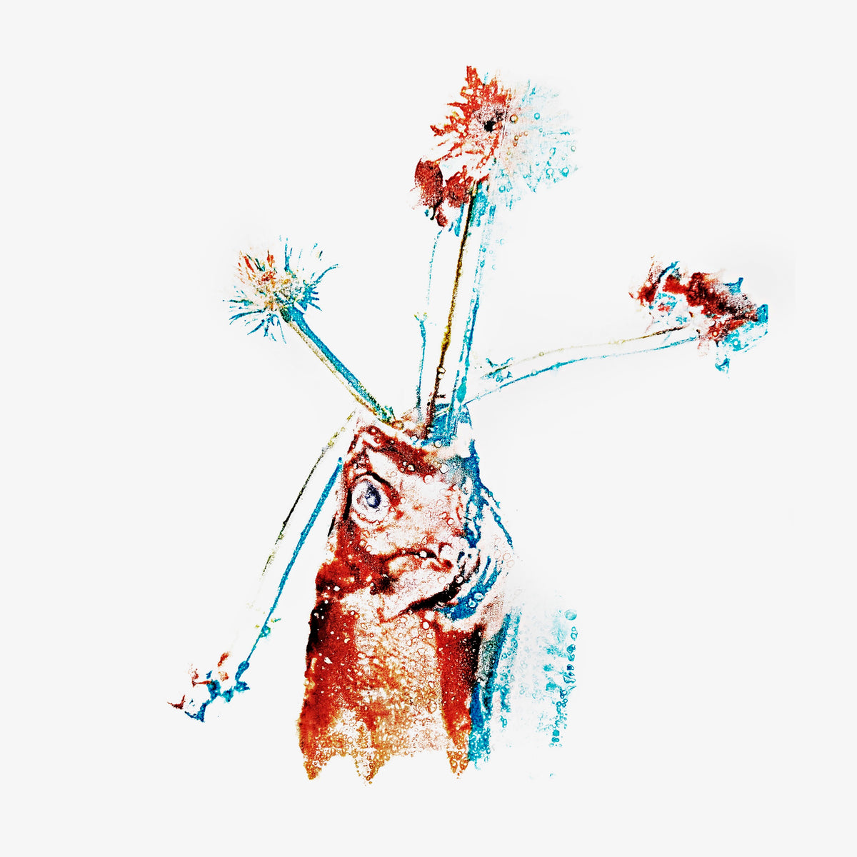 Enigmatic Bouquets - Robert Jaso