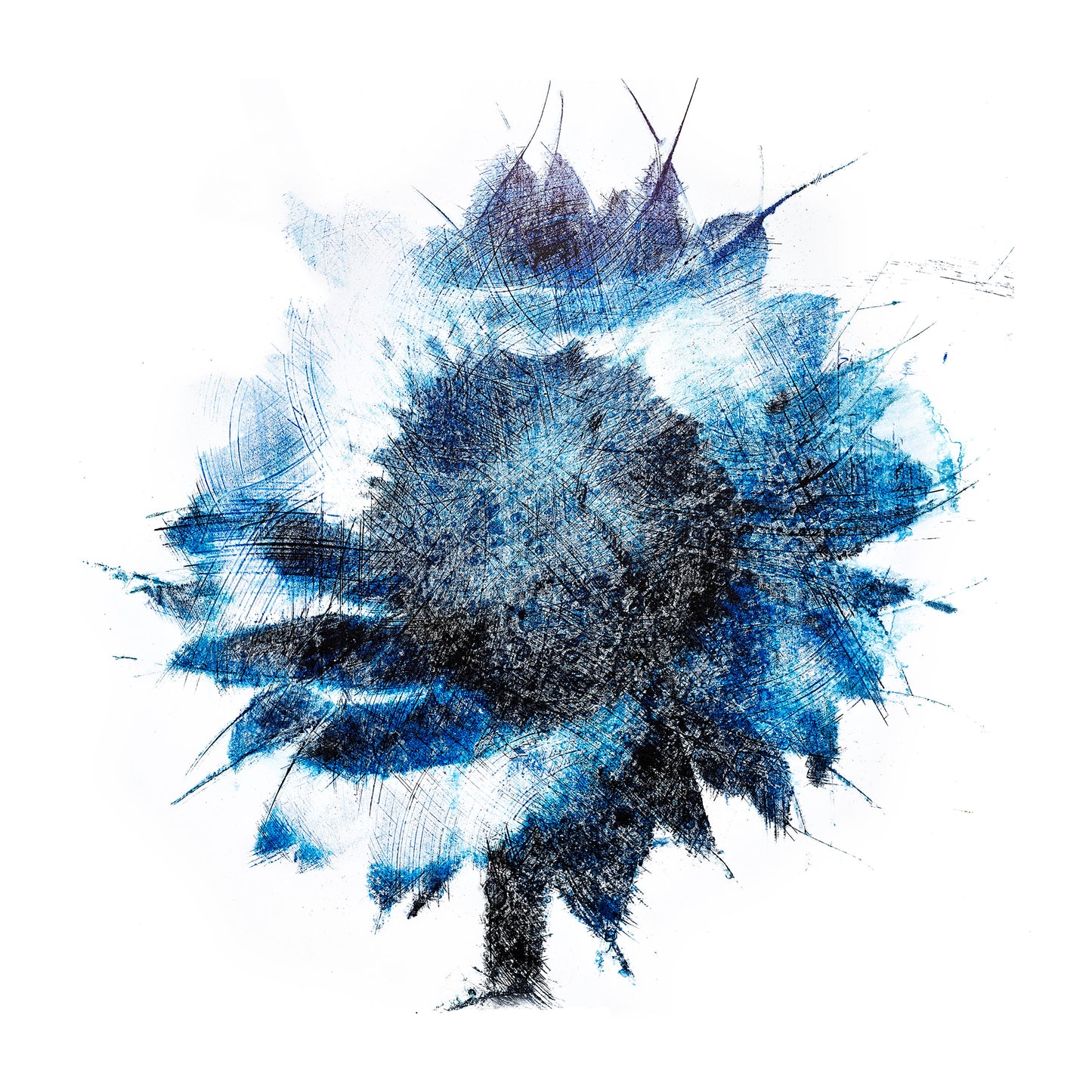 Fine Art - Vivid Shadows - Limited Edition