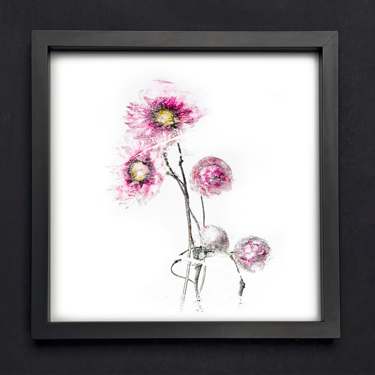 Fine Art - Blooming Bed Of Splendour - Limited Edition (Framed)