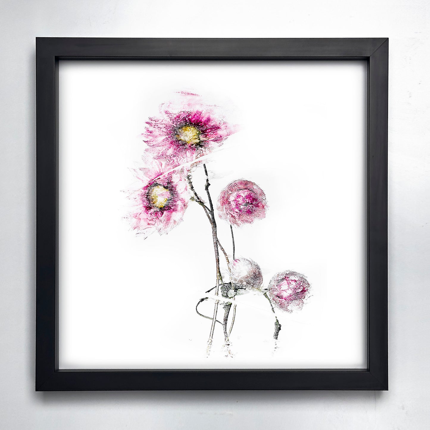 Fine Art - Blooming Bed Of Splendour - Limited Edition (Framed)