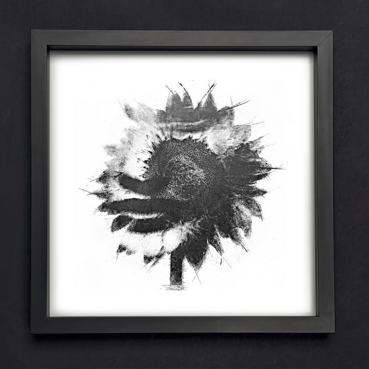 Fine Art - Blossoming Silence - Limited Edition (Framed)