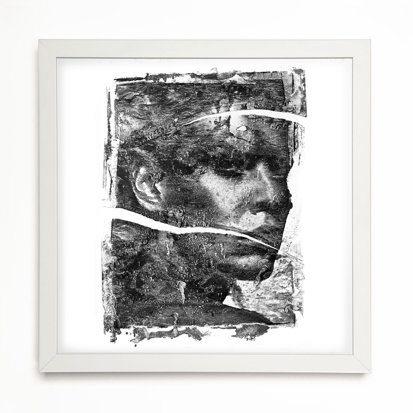 Fine Art Print - Caesar - Limited Edition (Framed)