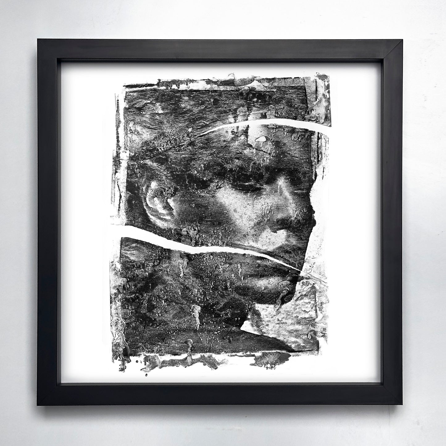 Fine Art Print - Caesar - Limited Edition (Framed)