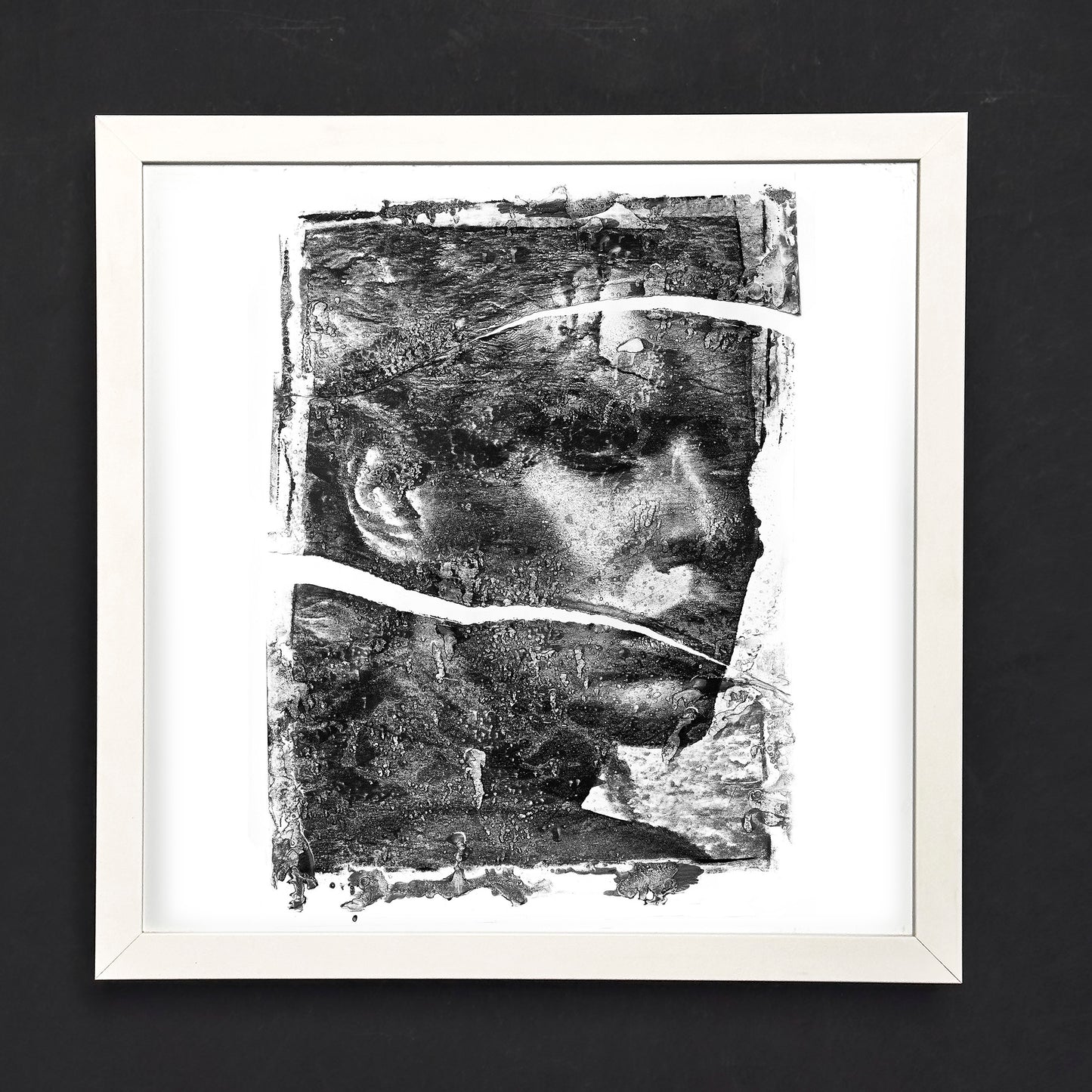 Fine Art Print - Caesar - Limited Edition (Framed)