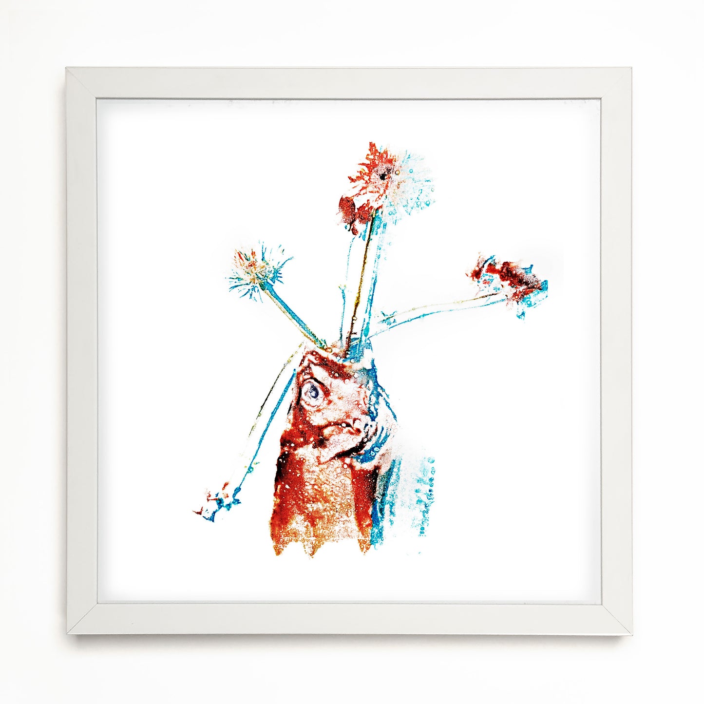 Fine Art - Enigmatic Bouquets - Limited Edition (Framed)