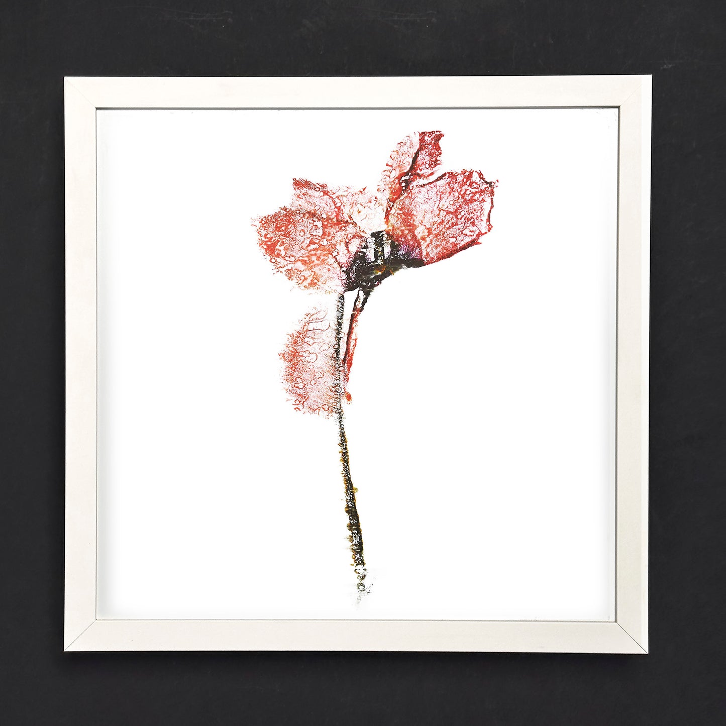 Fine Art - Enigmatic Petal Imagery - Limited Edition (Framed)