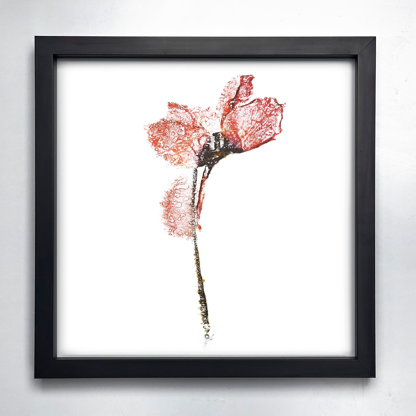 Fine Art - Enigmatic Petal Imagery - Limited Edition (Framed)