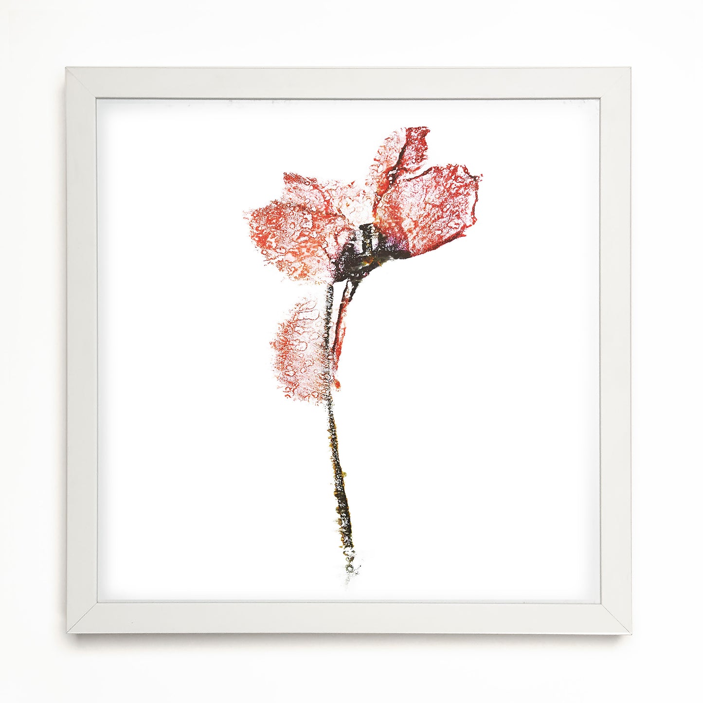 Fine Art - Enigmatic Petal Imagery - Limited Edition (Framed)