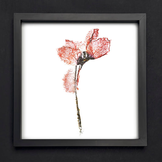 Fine Art - Enigmatic Petal Imagery - Limited Edition (Framed)