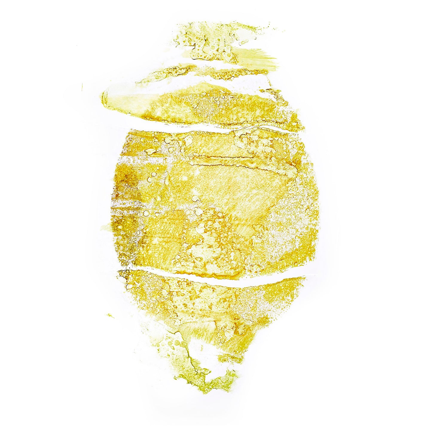 Fine Art - Lemon in the Mist  - Limited Edition