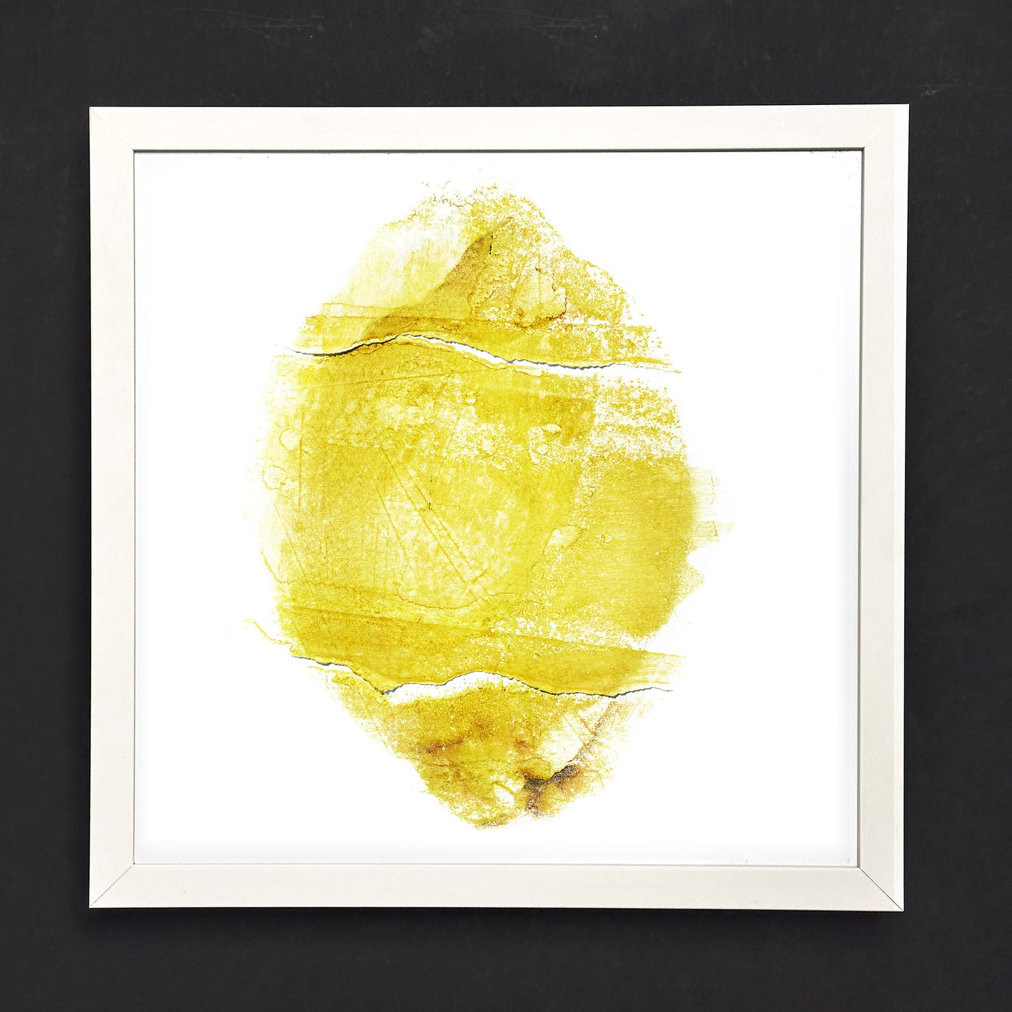 Fine Art - Silent Zest - Limited Edition (Framed)