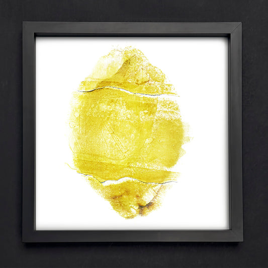 Fine Art - Silent Zest - Limited Edition (Framed)