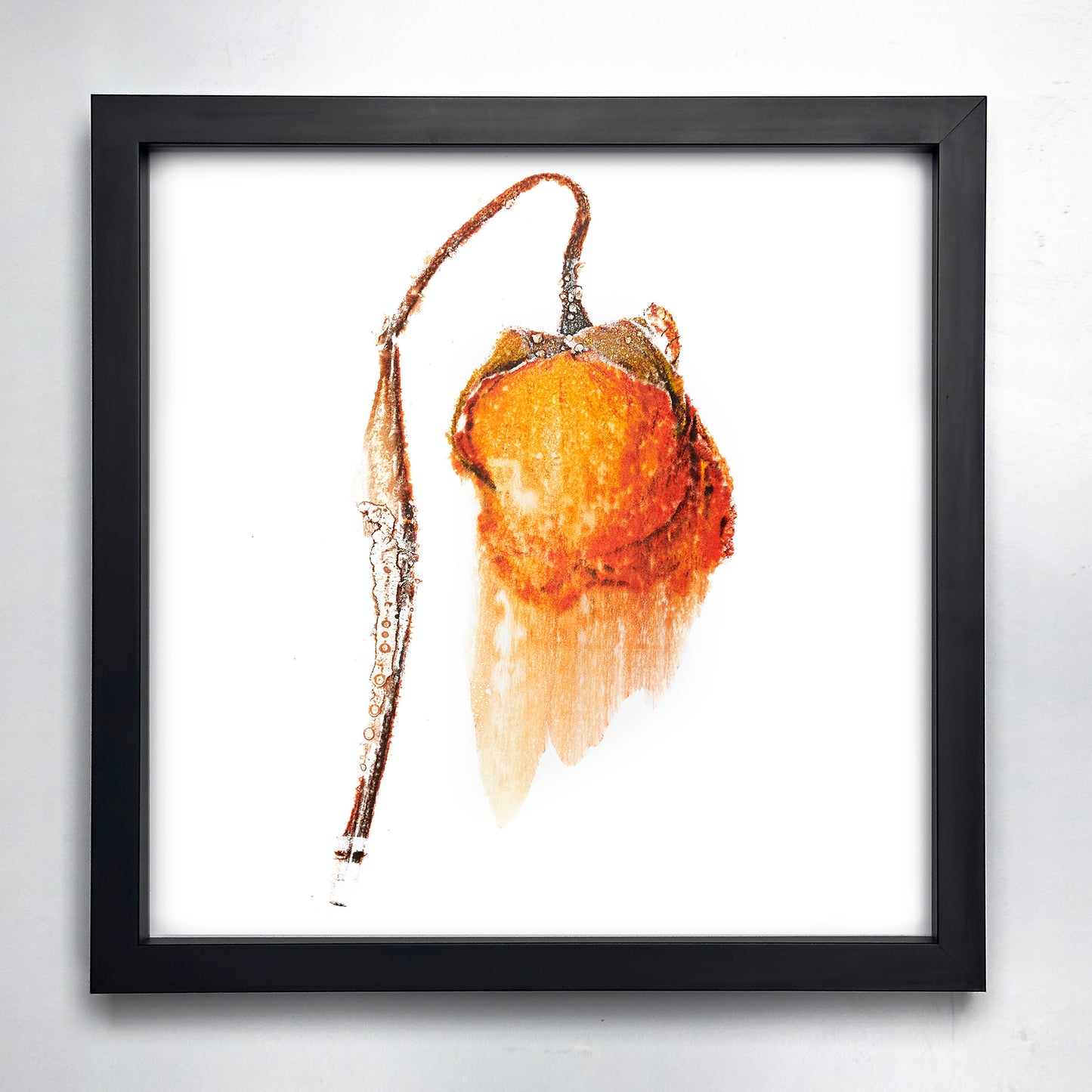 Fine Art - Unexpected Splendor - Limited Edition (Framed)