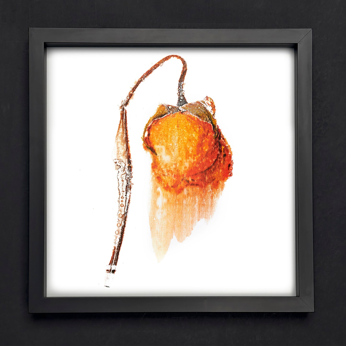 Fine Art - Unexpected Splendor - Limited Edition (Framed)